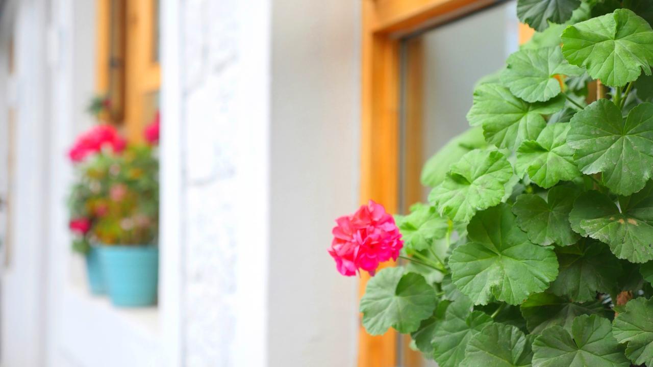 Fengma Feiyang Hostel Lhasa Bagian luar foto